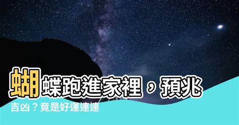 蝴蝶飛進 家裡幾號|今日蝴蝶入宅，風水大師解析吉凶